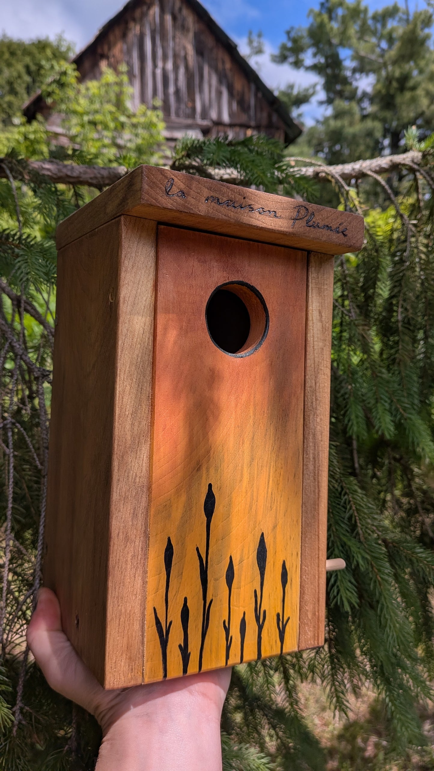 Assemblage d'un nichoir / Birdhouse assembly