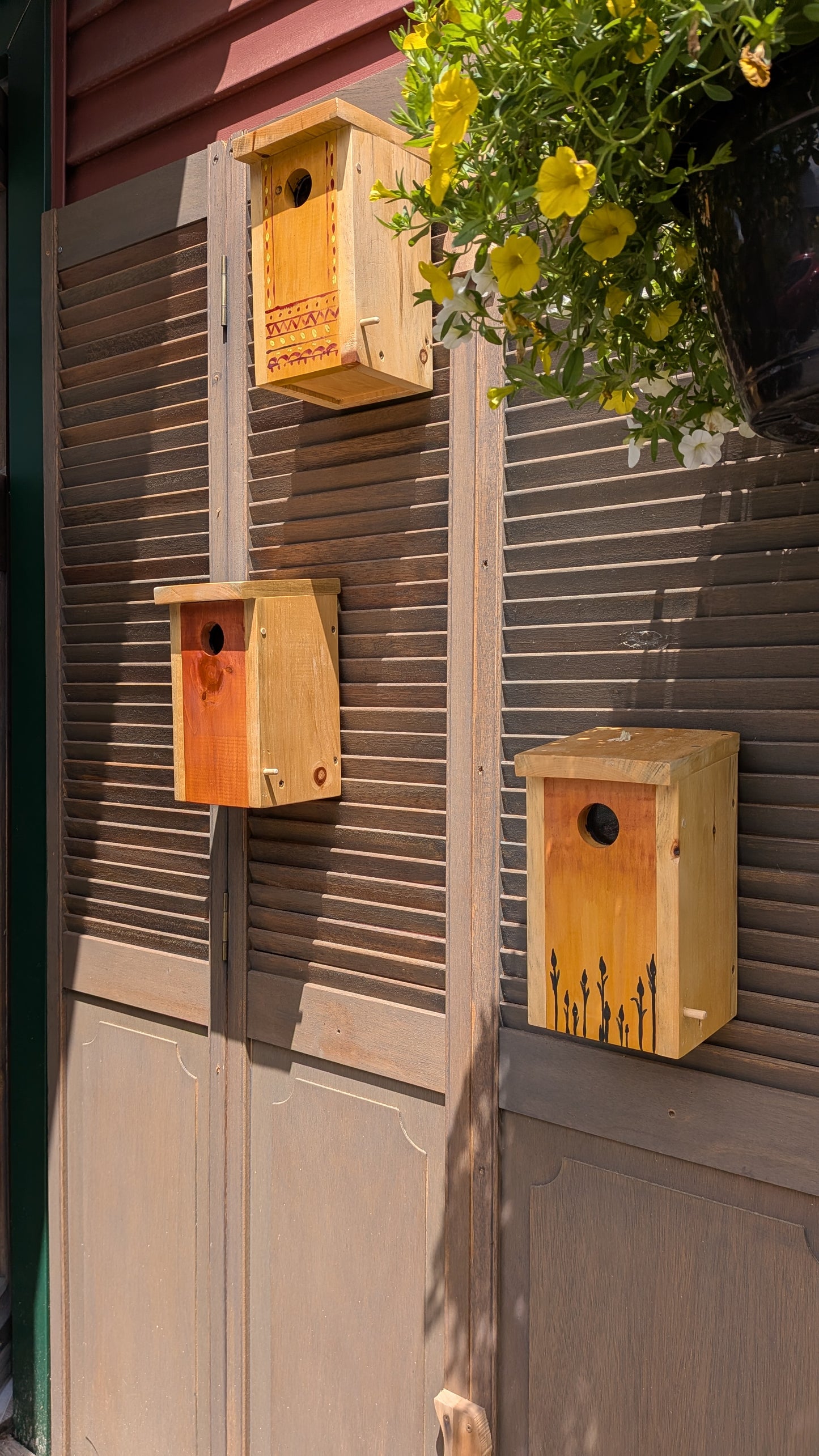 Assemblage d'un nichoir / Birdhouse assembly