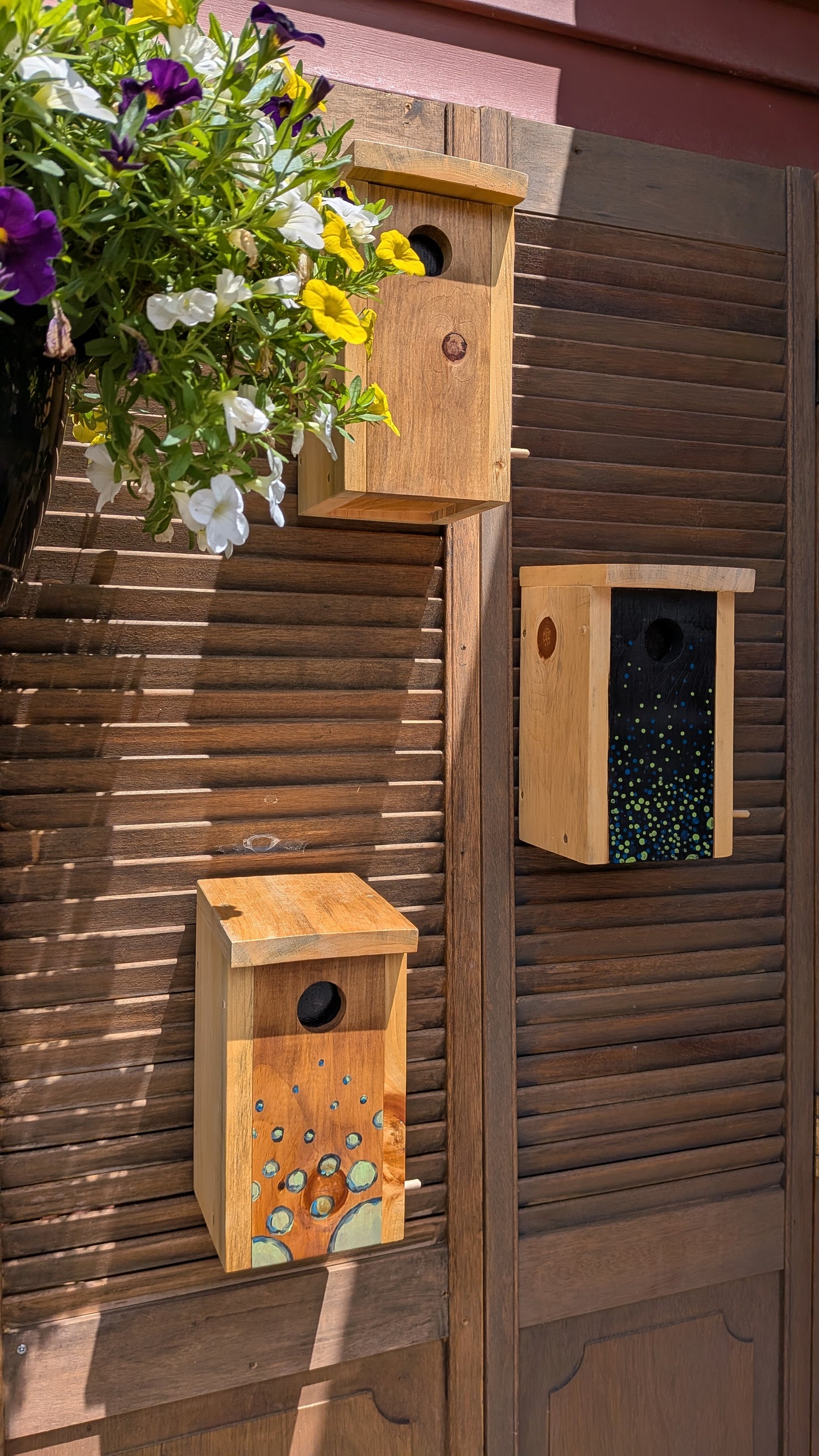 Assemblage d'un nichoir / Birdhouse assembly